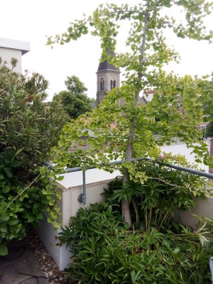 SOFORT FREI - DACHTERRASSE - BÖBLINGEN CITY