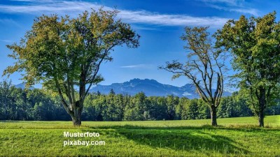 IHR DOMIZIL IN TRAUMLAGE ! Sonnen-verwöhntes Anwesen, mit wunderschönem Alpen-Panorama