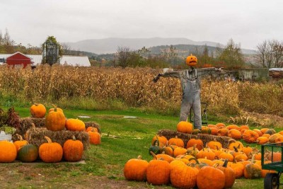 Jetzt mit neuer Förderung sicher bauen!