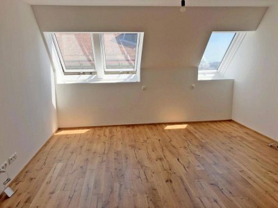 Dachwohnung 1060 Wien