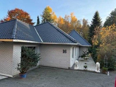 Den Wald vor der Tür - Wohnen mit Benefit