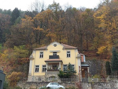 PREISSENKUNG - 2 ETW in Bad Schandau