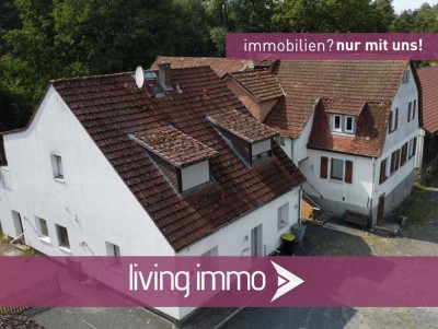 Anwesen - Ehem. Sägewerk - Wohnen und Gewerbe vereint in Homberg