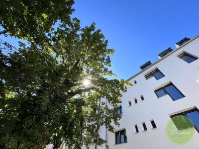 ** Über 100 m^2 Wohnfläche ** Nähe Wiesengrund ** NEU saniert & "neuer" AltbauCharme ** 4 Zimmer **
