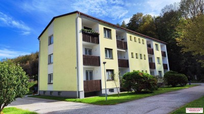 Wohnen in Payerbach - Gemütliche EG-Wohnung mit Loggia für nur 90.000,00 €!