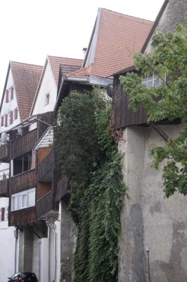 Denkmal EFH: 
Historischer Charme mit steuerl. Anreizen"