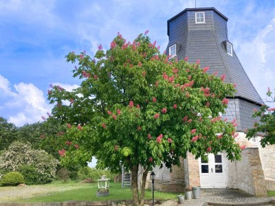 Besondere Gewerbeeinheit in einer Mühle mit Weitblick