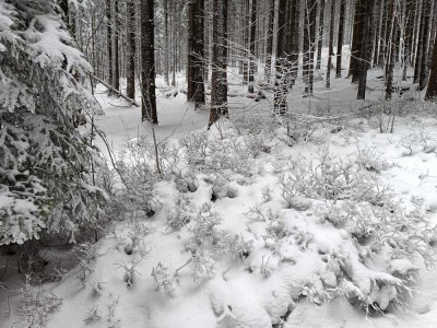 Bauen soll Spaß machen