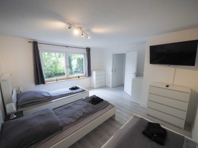 Sanierte und möblierte Einzimmerwohnung