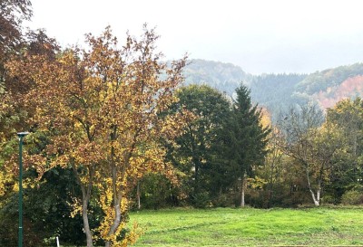 WOHNEN AM WIENERWALD - CHARMANTES EINFAMILIENHAUS
