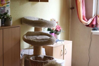 Zwei Eigentumswohnungen im Paket – sichere Mieterträge + Renovierungspotenzial!