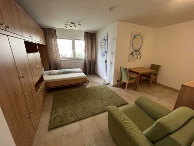 Stilvolle 1-Zimmer-Wohnung mit gehobener Innenausstattung in Nürnberg
