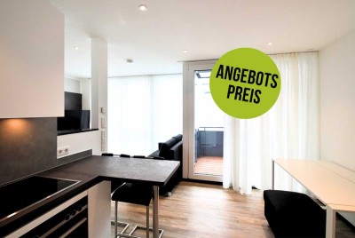 Möblierte 1 Zimmer Wohnung, mit Schreibtisch, Balkon - zentral in Offenbach ab 01.03.2025