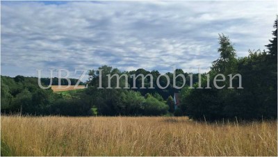 NEUBAU - Einfamilienhaus im erweiterten Rohbau