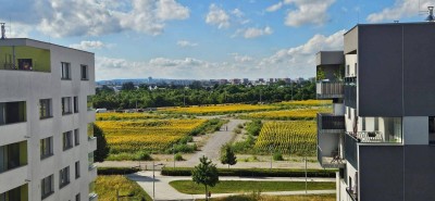 Wohnen beim See + U-Bahn: Sehr schöne 4 Zimmer Genossenschaftswohnung in der Seestadt Aspern