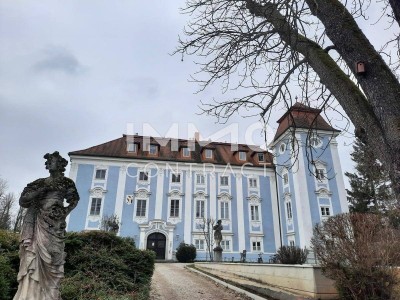 Maisonettewohnung im Schloss Lichtenegg samt KFZ-Abstellplatz P09