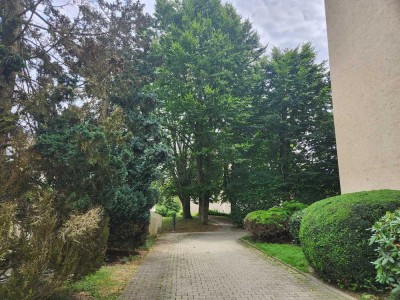 charmante 1 Zimmer Wohnung mit Balkon und PKW Stellplatz