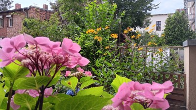 Schöne behindertengerechte Wohnung mit Garten und im Zentrum