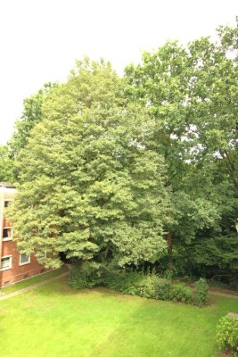 tolle 2 Zimmer-Wohnung