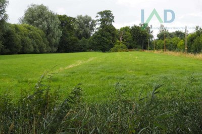 Großes Bauernhaus in Alleinlage - Pferdehaltung möglich