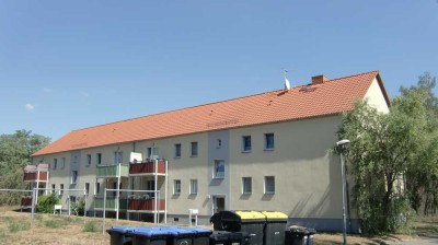 Schöne helle 2 -Raum-Wohnung im Grünen