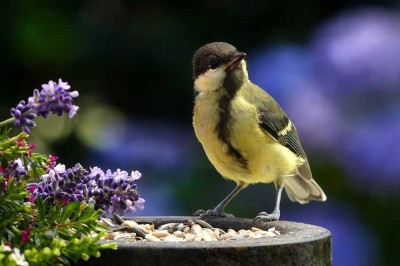 Im Einklang mit der Natur - Wohnkomfort auf höchstem Niveau im Traumhaus