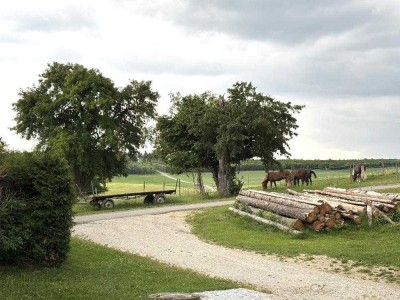 Erstbezug! Schickes, modernes Appartement in idyllischer Lage - voll möbliert