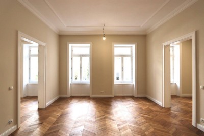 Top Preis! Gesamte Etage im Vorderhaus! Stilaltbau in der Lerchenfelderstrasse!