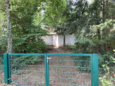 Einzigartiges Waldgrundstück mit Wochenendhaus und Teichzugang – Ideal für Naturfreunde und Bastler