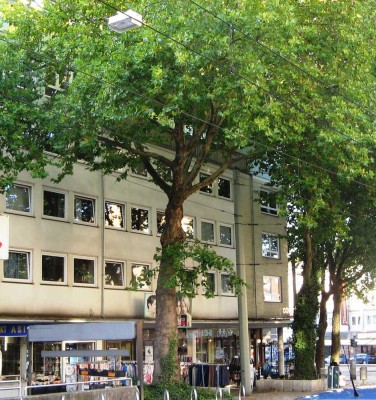 Helle 3-Zi-Stadtwohnung in Rathausnähe mit sehr guter Ausstattung