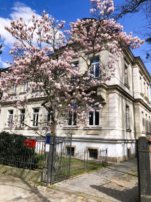 Kapitalanlage in TOP-Lage von Dresden-Blasewitz *provisionsfrei*