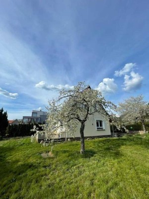 Saniertes Traumhaus - Bestlage Coswig - Nähe Radebeul