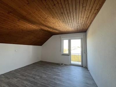Neu renovierte Wohnung mit Balkon