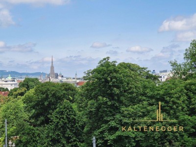 Blick auf den Stephansdom + Schloss Belvedere - exklusive frisch sanierte Stadtwohnung!