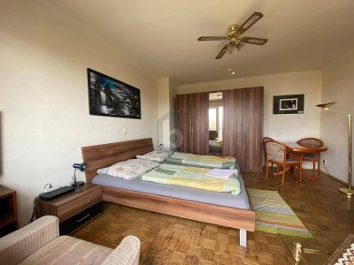 1-ZIMMER-WOHNUNG MIT TERRASSE &amp; AUSBLICK ? NACHBARWOHNUNG EBENFALLS VERFÜGBAR
