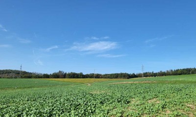 Schuch Immobilien - Sonnige 3 ZKBB in Taunusstein am Südhang