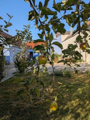 Zwei Häuser +Baugrund Gartenparadies, Wohlfühloase &amp; Investmentchance in begehrter Lage
