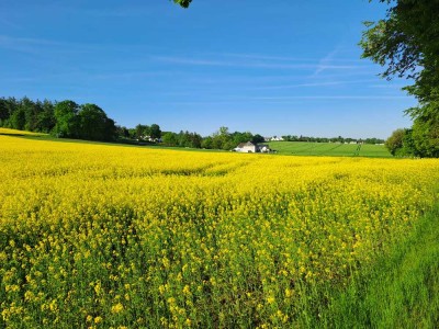 Neu möbliert, verkehrsgünstig, ländlich