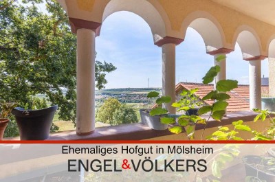 Ehemaliges Hofgut in Mölsheim