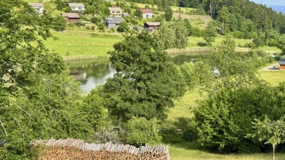 Helles Studio, 1,5 ZKB, Balkon mit fantastischer Aussicht in Dachsberg