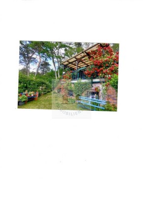 Liebvolles gepflegtes Grundstück mit Bungalow am Klobichsee