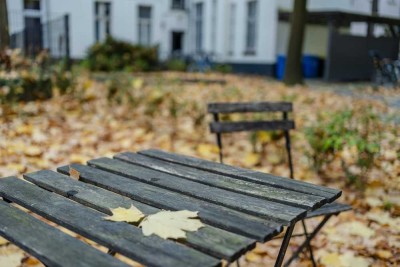 Mit 3 Zimmern und privatem Garten. Im Herzen von Pankow