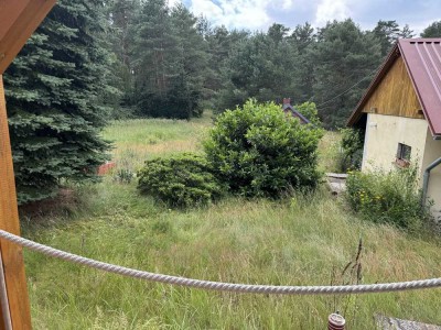 Günstiges, modernisiertes 4-Raum-Einfamilienhaus in Heideblick