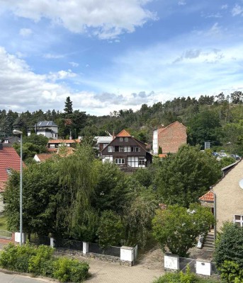 Ansprechende 2-Raum-Wohnung in Quedlinburg mit EBK