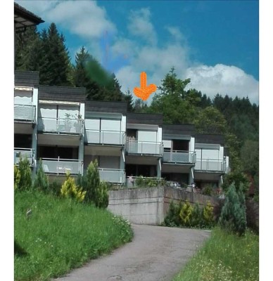 1-Raum-Wohnung mit EBK und Balkon in Baiersbronn