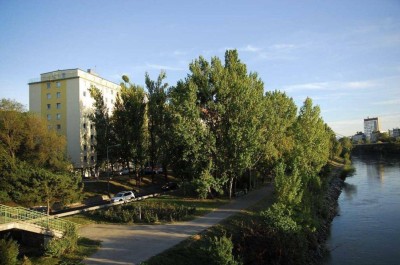 Schöne, renovierte Familienwohnung: 3 Zimmer (4 Zi möglich) mit Loggia, Nähe U6 und Donaukanal