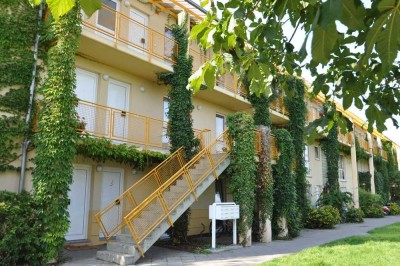 Helle Dachgeschoss Wohnung im Grünen