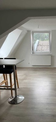 Helle 2-Zimmer Dachgeschosswohnung in Horb -Altheim