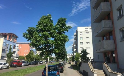 Sicher ist sicher.. KAPITALANLAGE in Gonsenheim