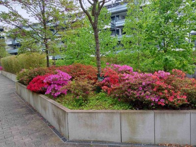 Attraktive 3-Zimmer-Terrassenwohnung mit Garten in Karlsruhe Citypark